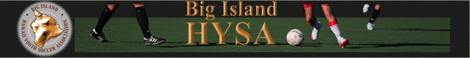 2013 Fall Big Island League banner